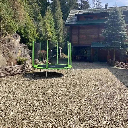 Skelia Volosyanka (Lviv)