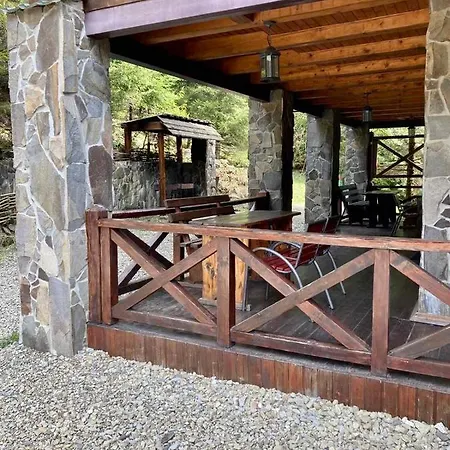 Skelia Volosyanka (Lviv)