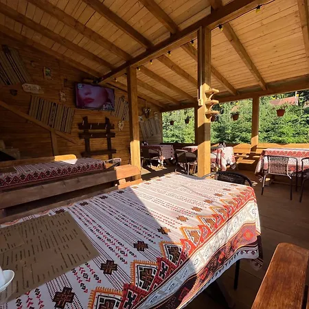 Skelia Volosyanka (Lviv)