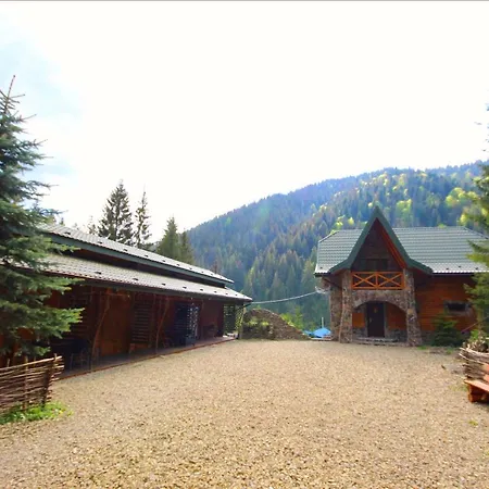 Skelia * Volosyanka (Lviv)