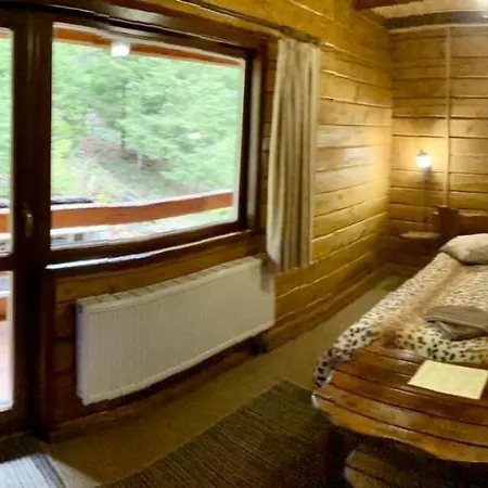 Skelia ヴォロサンカ