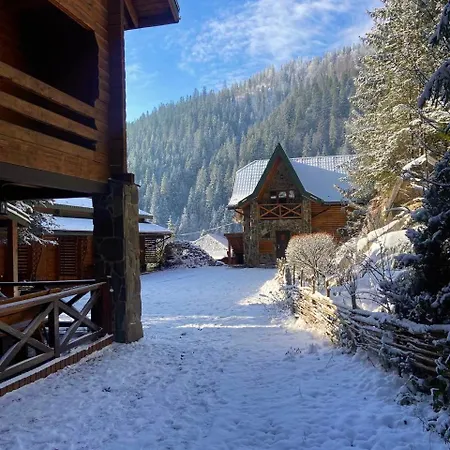 Skelia ヴォロサンカ