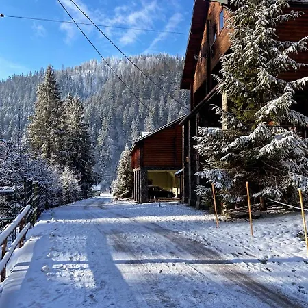 Skelia イン ヴォロサンカ